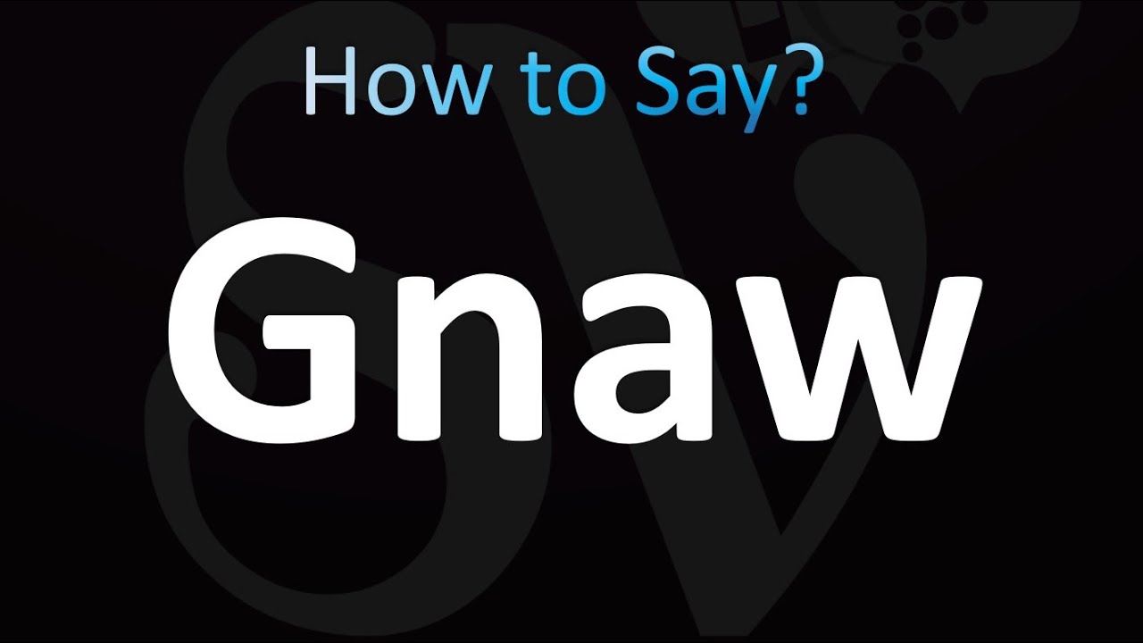 How to Pronounce Gnaw (Correctly!) How to Pronounce Gnaw (Correctly!)