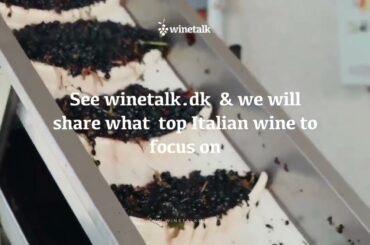Ready for the best Italian wines