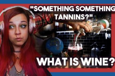Bartender Reacts to What IS Wine? by How To Drink