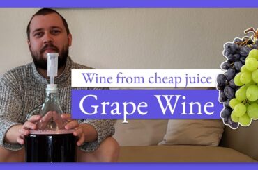 Easiest and cheapest homemade grape wine! (Part 1)