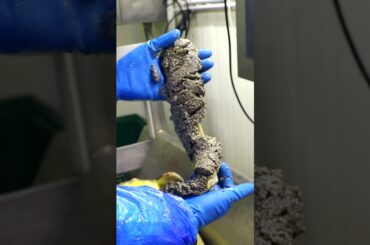 This Italian farm produces 28 tons of caviar each year. #Caviar #InsiderFood #Italy