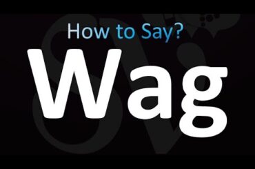 How to Pronounce Wag (Correctly!)