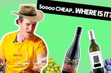 Wine Regions, Do They Really Matter?? | Blind Wine Reviews