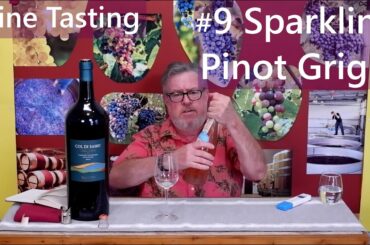 Wine Tasting #9 - Lunaria Sparkling Pet Nat from Pinot Grigio