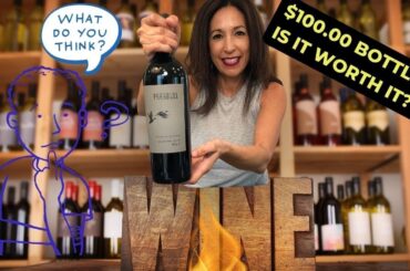 Why I drink Wine! Is $100.00 wine worth the money?