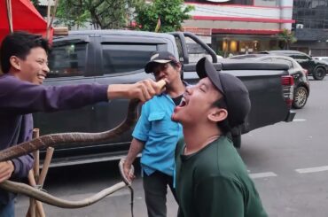 Dangerous Giant King Cobra Eating of Jakarta | Indonesian Street Food | Biggest King Cobra