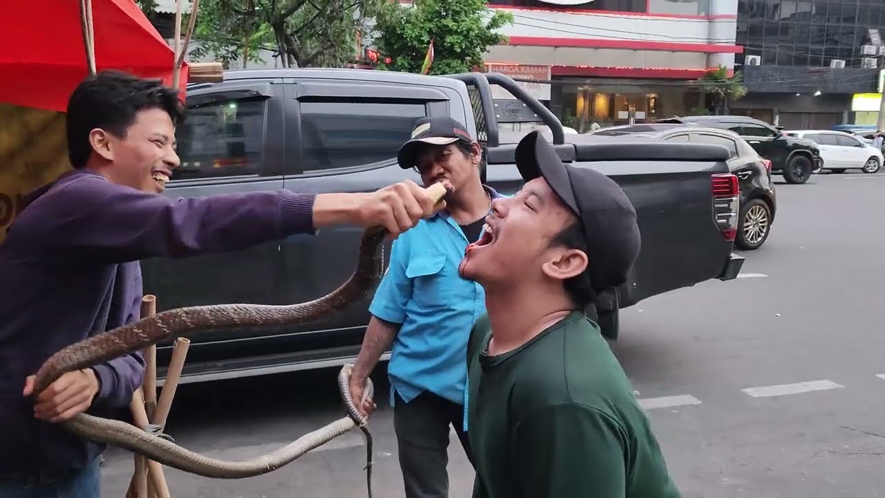 Dangerous Giant King Cobra Eating of Jakarta | Indonesian Street Food | Biggest King Cobra Dangerous Giant King Cobra Eating of Jakarta | Indonesian Street Food | Biggest King Cobra