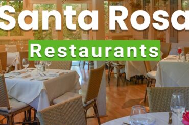 Top 10 Best Restaurants to Visit in Santa Rosa, California | USA - English