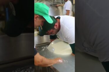 If you require #cheese, this 66-pound bespoke #mozzarella ball should do the trick. #food #italy