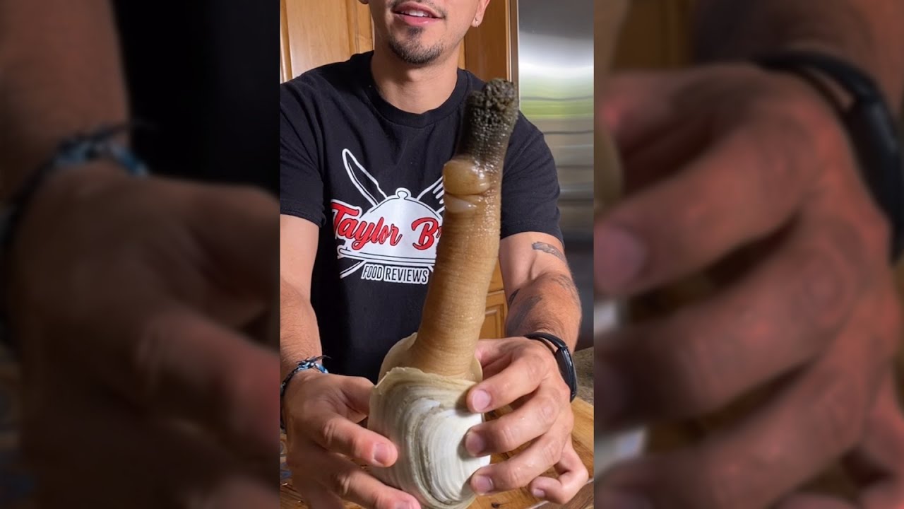 EATING WEIRD SEA CREATURE *ALIVE*… #shorts EATING WEIRD SEA CREATURE *ALIVE*... #shorts