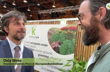 OnlyMoso Italy Bamboo Interview - President Fabrizio Pecci