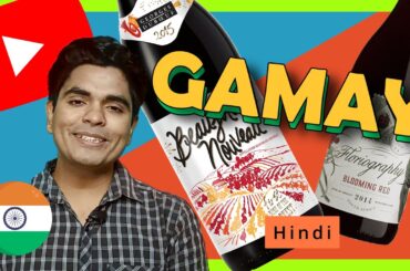 Discovering the Delights of Gamay Wine Grape | A Guide to the Luscious Flavors and its Origins.