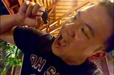 Eating Out for A Good Cause in Phnom Penh, Cambodia