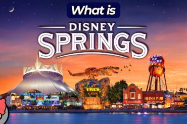 An Idiot's Guide to DISNEY SPRINGS | Walt Disney World | 2023