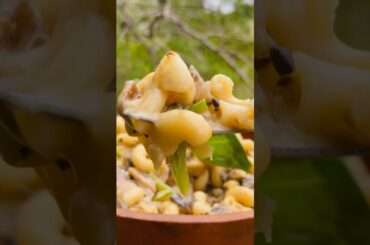 Creamy Mushroom Pasta | Cook With Kani #cookwithkani