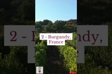 The 5 Most Expensive Wine Regions In The World