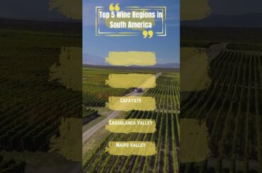 Cheers! Top 5 Wine Regions in South America       #top5travel #travel #vacation