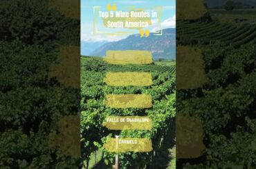 Glass Half Full! Top 5 Wine Routes in South America       #top5travel #travel #vacation