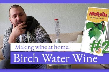How to make wine from birch sap at home! (Part 2)