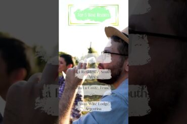 Cheers! Top 5 Wine Resorts in the World    #top5travel #travel #vacation