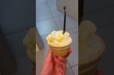 what I eat in a day as a girl who eats whatever she wants (in and around Venice Italy!)