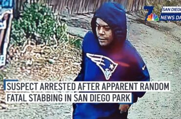 Suspect arrested after apparent random fatal stabbing in San Diego park | SD News Daily | NBC 7
