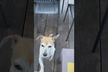 Best wine & olive oil tasting in Tuscany - Siena, Italy