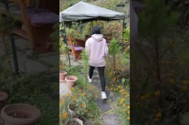 Best italian food in manali? | Cafe in manali | Chahat Anand | Day - 1 #shorts