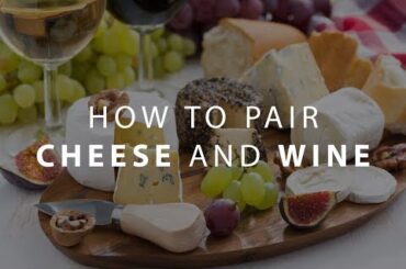 Wine and Cheese: learn the secrets of pairing wine and cheese