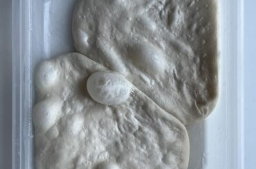 Outcome of my try. As requested Im posting pictures here. Pizza was very digestive, a bit sourish as I wanted. More info in comments