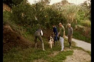 Discover the Calabria: Two Greedy Italians ...still hungry.