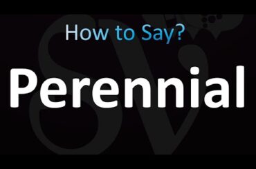 How to Pronounce Perennial (correctly!)