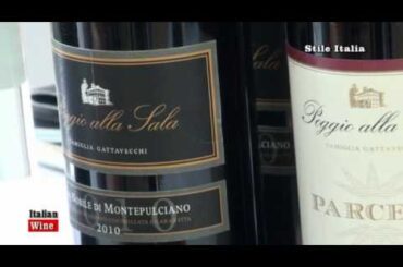 "Italian Wine" - Azienda Gattavecchi  - Vino Nobile Montepulciano - Poggio alla Sala -Stile Italia