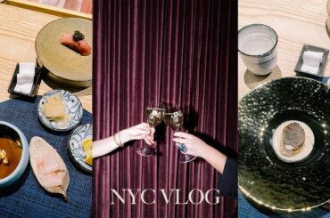 Nyc vlog: Dining out in NYC and photographing a NYFW event