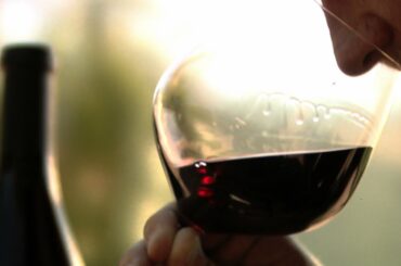 "Pinot Noir" The Holy Grail of Wine