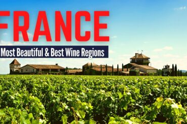 7 Most Beautiful and Best Wine Regions in France to Visit | France Travel Guide