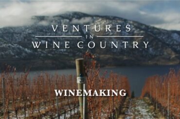 Ventures in Wine Country | Episode 4: Winemaking