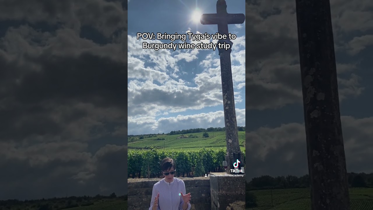 2023 Burgundy Trip- Napa Valley Wine Academy – WSET Education 2023 Burgundy Trip- Napa Valley Wine Academy - WSET Education