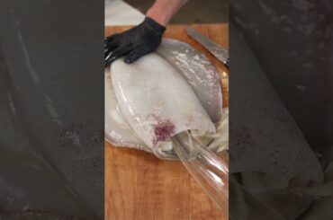 Cooking A Giant Squid