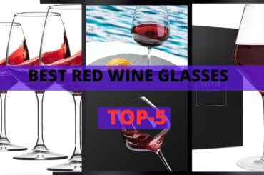 The Must-Have Best Red Wine Glasses for a Perfect Tasting Experience