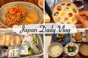 go embassy in Shibuya, grocery shopping, make a  japanese set dinner | vlog