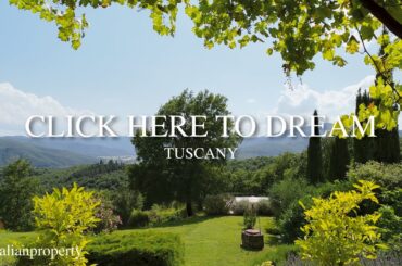 You won't believe the price!