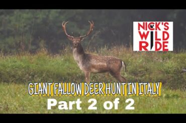 GIANT FALLOW DEER hunt in ITALY and pasta making!!   Part 2 of 2