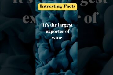 Largest exporter of Wine #facts #shortsvideo