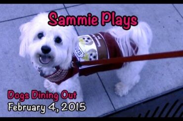 Dogs Dining Out SP #18