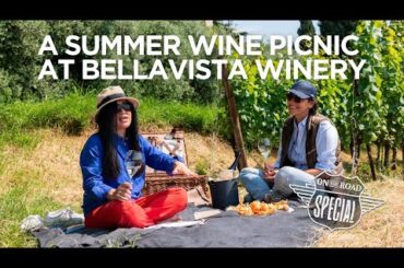 Sip, Savor, and Soak up the Sun: Unforgettable Wine Picnic at Bellavista Winery!