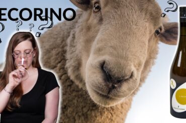 Unlike any PECORINO WINE You Ever Had