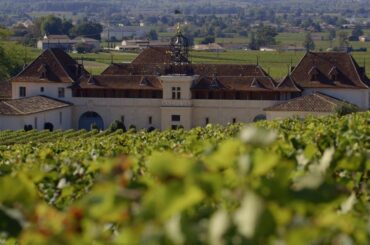 France’s Saint-Emilion: A red wine lover’s paradise