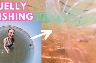 Jellyfish and melted cheese - last days in Narbonne