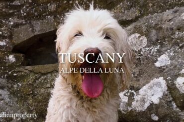 Buy a COOL Italian property.